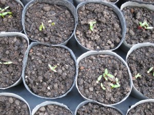 �摜(300x225)�E�g��摜(640x480)