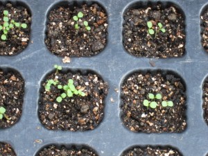 �摜(300x225)�E�g��摜(640x480)