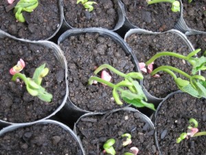 �摜(300x225)�E�g��摜(640x480)