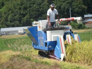 画像(300x225)・拡大画像(640x480)