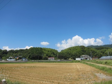 �摜(435x326)�E�g��摜(640x480)