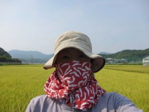 画像(300x225)・拡大画像(640x480)