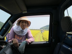 画像(300x225)・拡大画像(640x480)