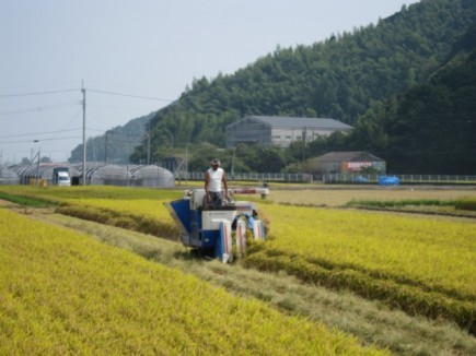 画像(435x326)・拡大画像(640x480)