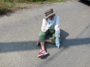 画像(300x225)・拡大画像(640x480)