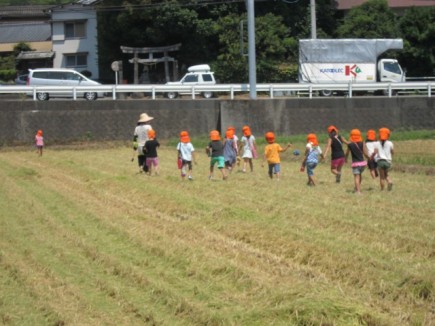 画像(435x326)・拡大画像(640x480)