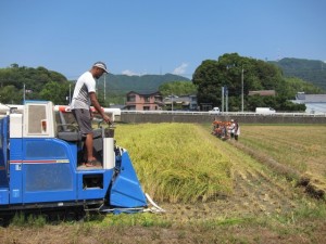 画像(300x225)・拡大画像(640x480)