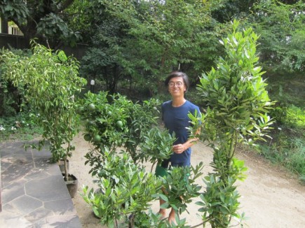 �摜(435x326)�E�g��摜(640x480)