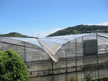 �摜(435x326)�E�g��摜(640x480)