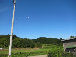 �摜(300x225)�E�g��摜(640x480)