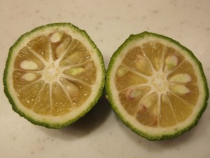 画像(300x225)・拡大画像(640x480)