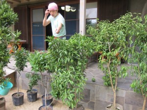 �摜(300x225)�E�g��摜(640x480)