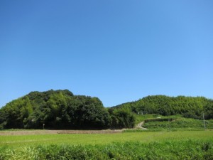 �摜(300x225)�E�g��摜(640x480)