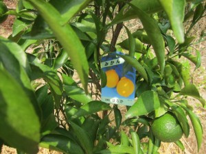 �摜(300x225)�E�g��摜(640x480)