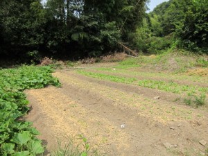 �摜(300x225)�E�g��摜(640x480)