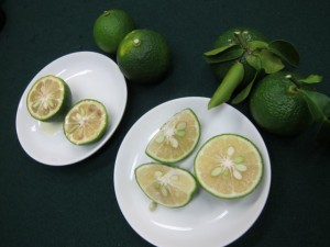 画像(300x225)・拡大画像(640x480)