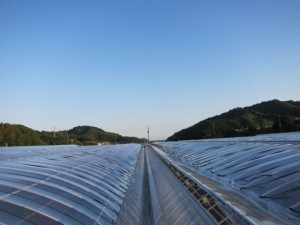 �摜(300x225)�E�g��摜(640x480)