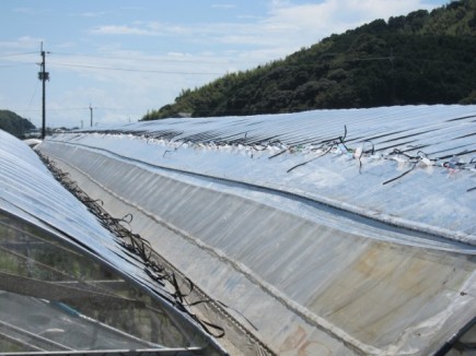 �摜(435x326)�E�g��摜(640x480)