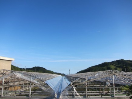 �摜(435x326)�E�g��摜(640x480)