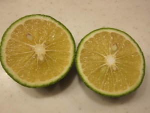 画像(300x225)・拡大画像(640x480)