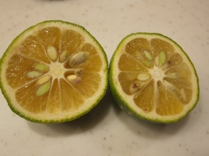 画像(300x225)・拡大画像(640x480)