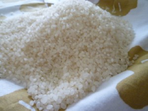 �摜(300x225)�E�g��摜(360x270)