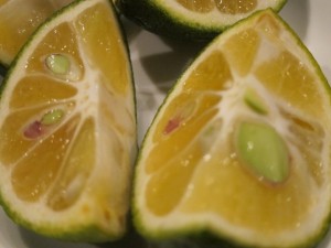 画像(300x225)・拡大画像(640x480)