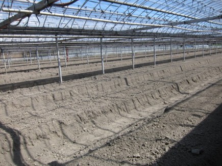 �摜(435x326)�E�g��摜(640x480)