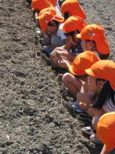 画像(225x300)・拡大画像(480x640)