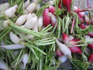 画像(300x225)・拡大画像(640x480)