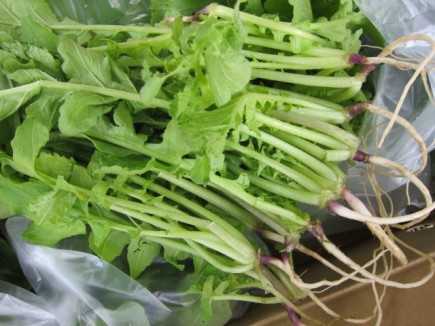 画像(435x326)・拡大画像(640x480)