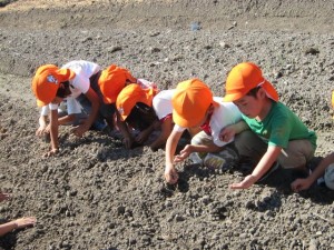 画像(300x225)・拡大画像(640x480)