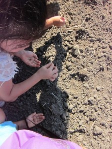 画像(225x300)・拡大画像(480x640)