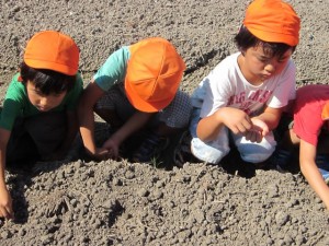 画像(300x225)・拡大画像(640x480)