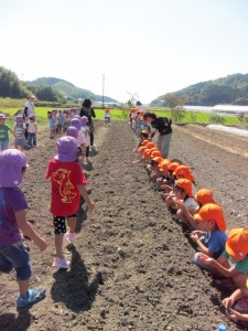 画像(225x300)・拡大画像(480x640)