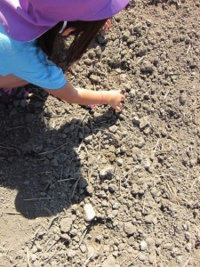 画像(225x300)・拡大画像(480x640)