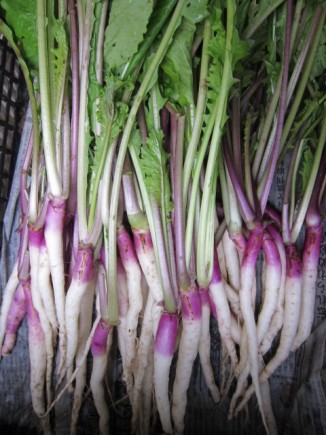 画像(326x435)・拡大画像(480x640)