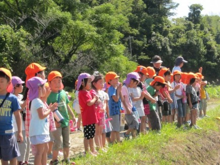 画像(435x326)・拡大画像(640x480)