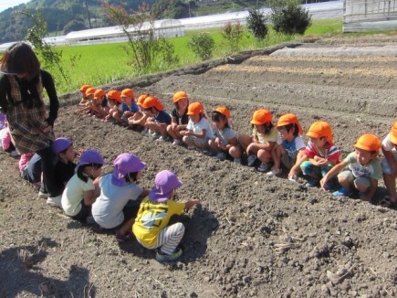 画像(435x326)・拡大画像(640x480)