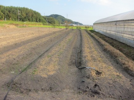 画像(435x326)・拡大画像(640x480)