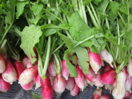 画像(435x326)・拡大画像(640x480)