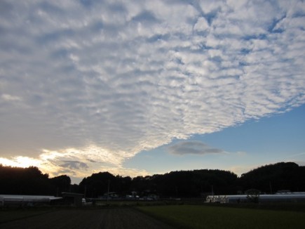 �摜(435x326)�E�g��摜(640x480)