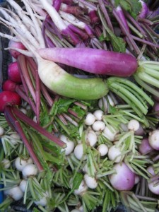 �摜(225x300)�E�g��摜(480x640)