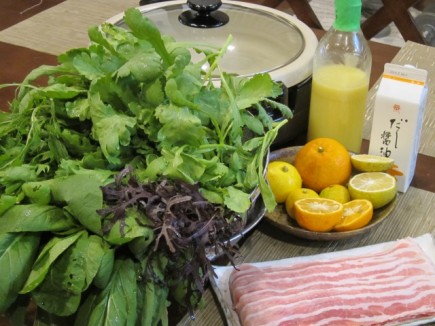 �摜(435x326)�E�g��摜(640x480)