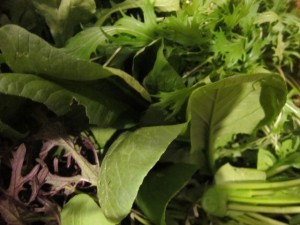 �摜(300x225)�E�g��摜(640x480)