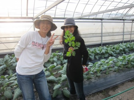 �摜(435x326)�E�g��摜(640x480)