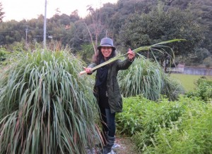 �摜(300x219)�E�g��摜(640x469)