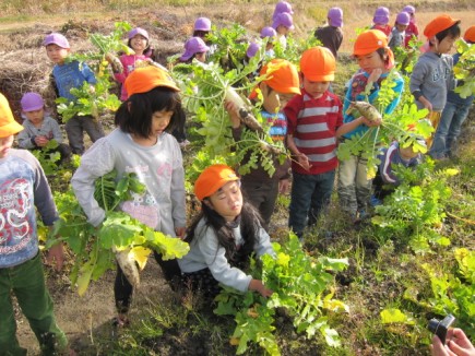 画像(435x326)・拡大画像(640x480)