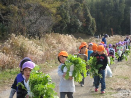 画像(435x326)・拡大画像(640x480)