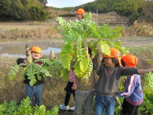 画像(300x225)・拡大画像(640x480)